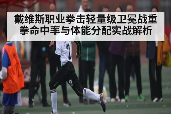 戴维斯职业拳击轻量级卫冕战重拳命中率与体能分配实战解析
