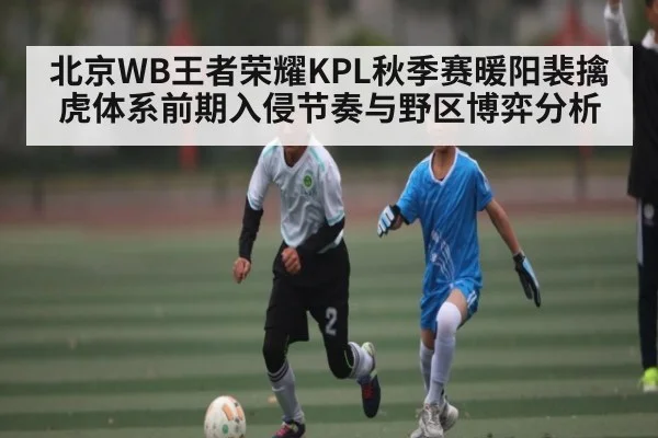 北京WB王者荣耀KPL秋季赛暖阳裴擒虎体系前期入侵节奏与野区博弈分析